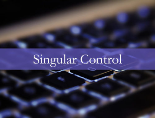 Singular Control